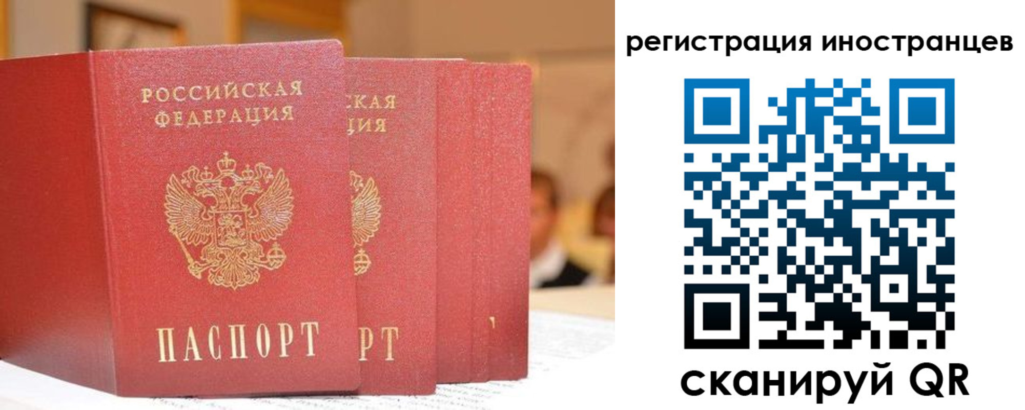 где прописаться в Долгопрудном